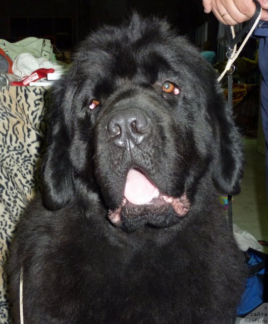 Фотография № 67994