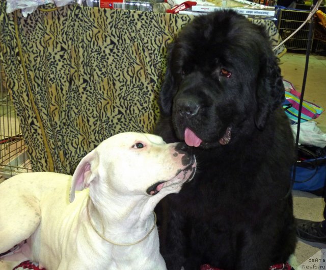 Фотография № 67995