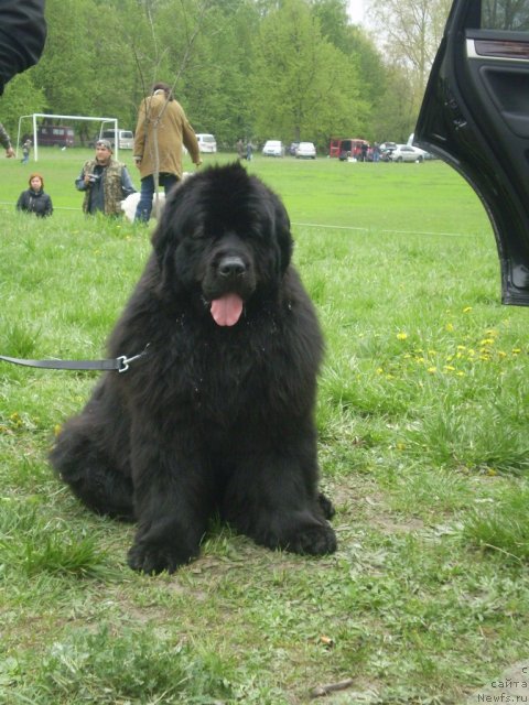 Фотография № 67997