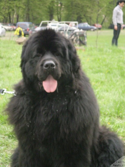 Фотография № 67998