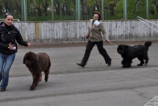 Фотография № 68042