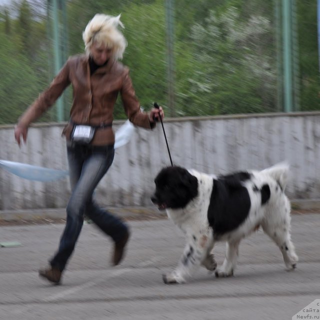 Фотография № 68043