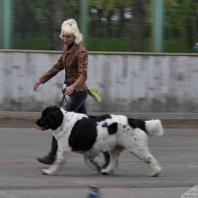 Фотография № 68044