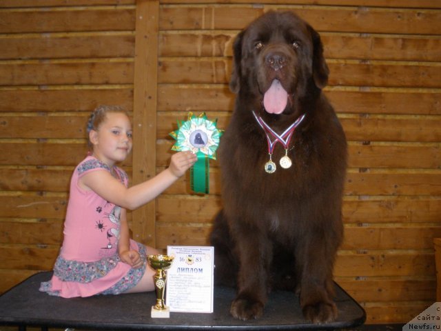 Фотография № 68057