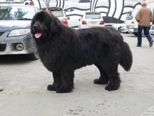 Фотография № 68114