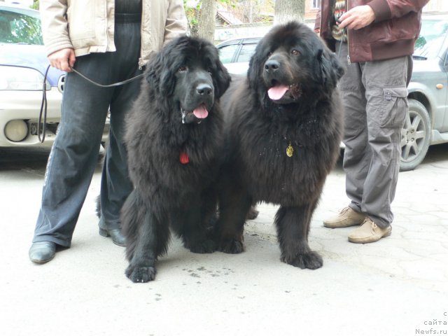 Фотография № 68115