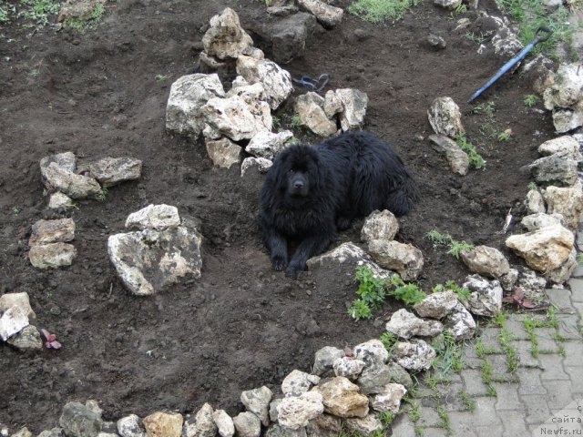 Фотография № 68120