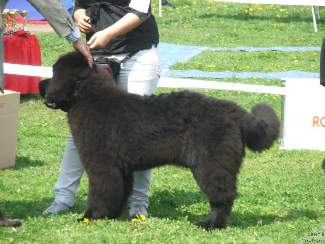 Фотография № 68138