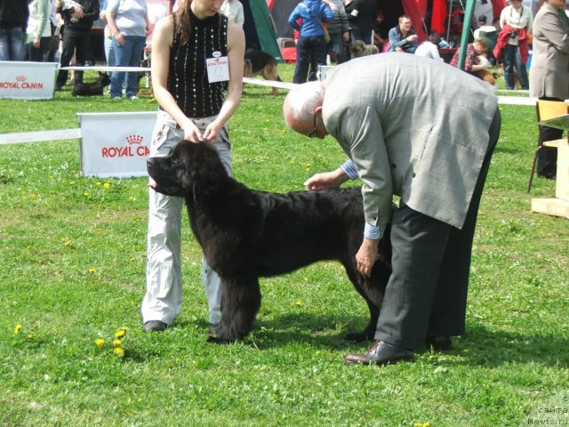 Фотография № 68140