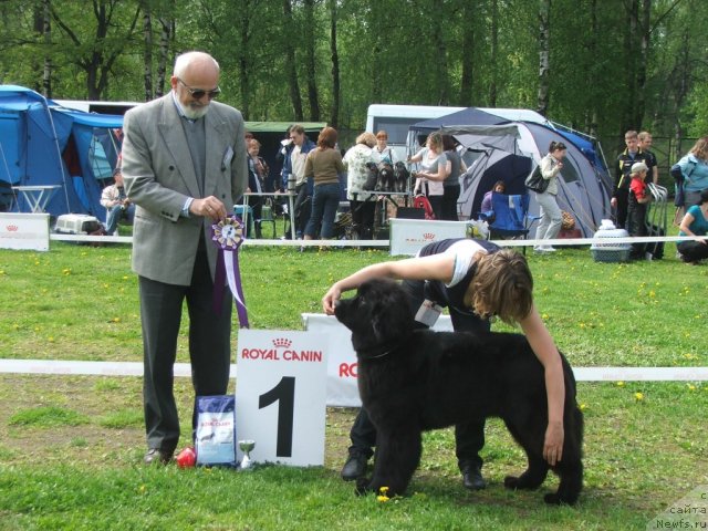 Фотография № 68143