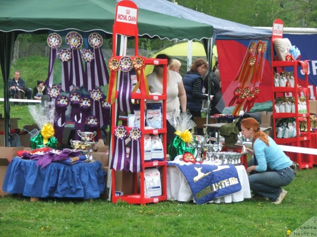 Фотография № 68147