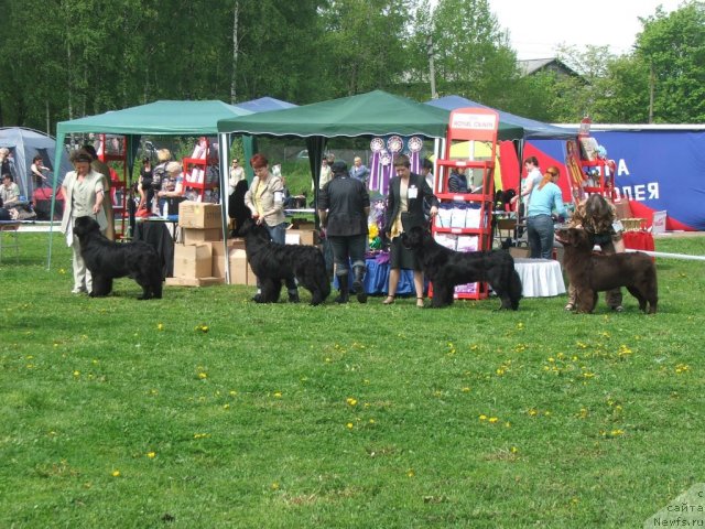 Фотография № 68158