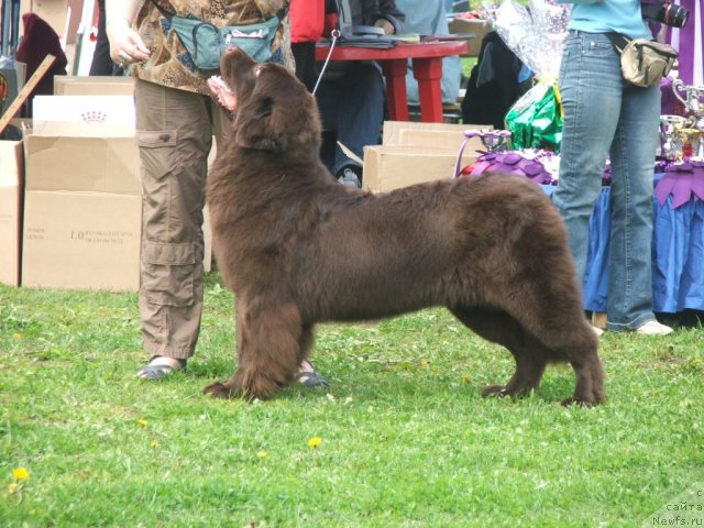 Фотография № 68160