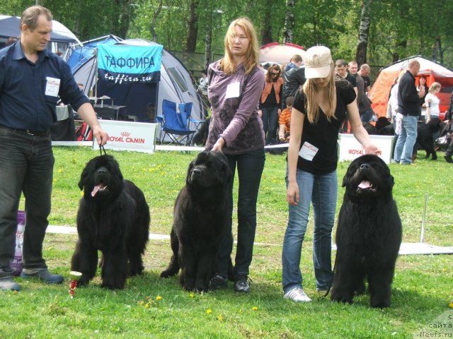 Фотография № 68193