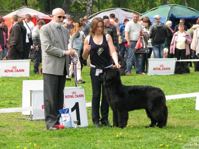 Фотография № 68234