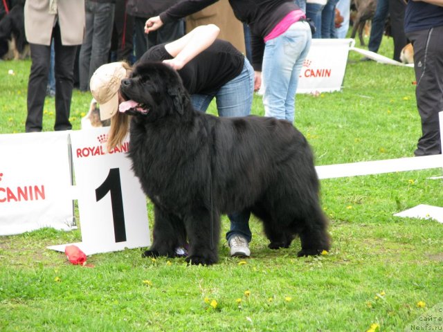 Фотография № 68285