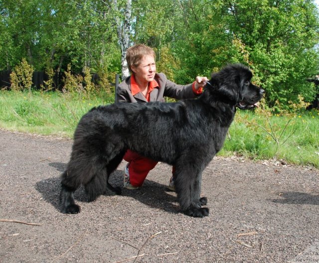 Фотография № 68293