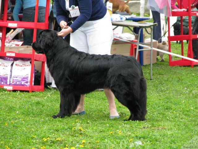 Фотография № 68295