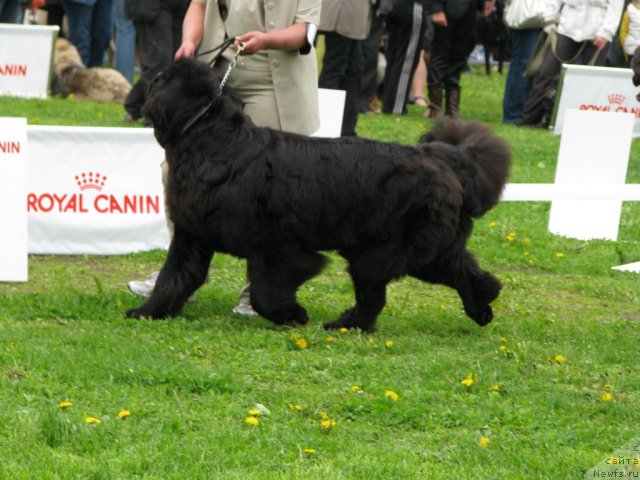 Фотография № 68298