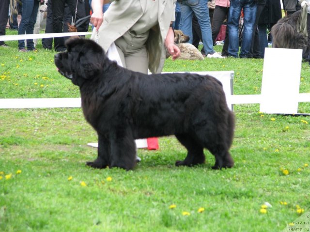 Фотография № 68299