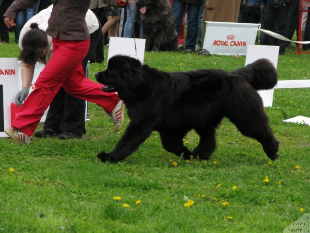 Фотография № 68300