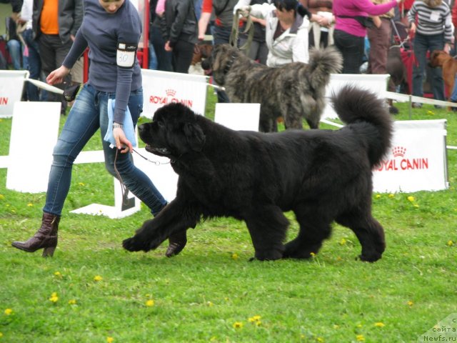 Фотография № 68302