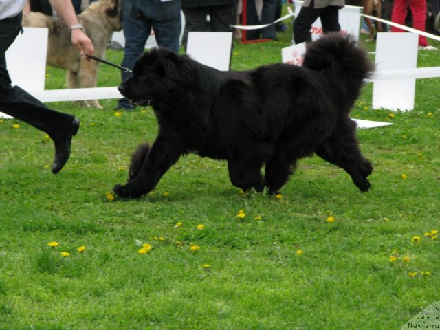 Фотография № 68303