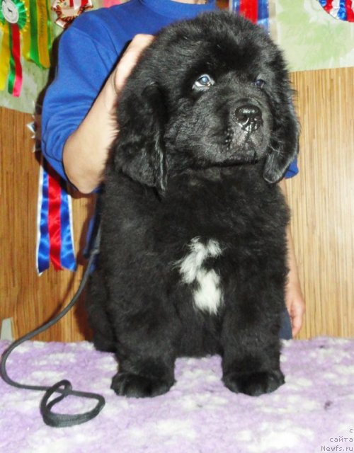 Фото: Бегущая по волнам ЗУРБАГАН