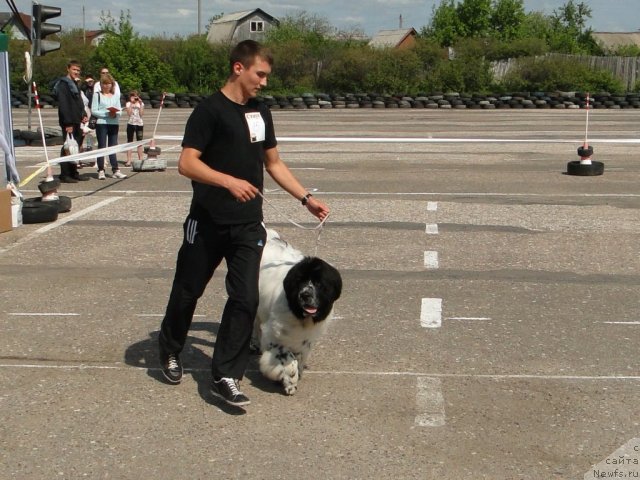 Фотография № 68315