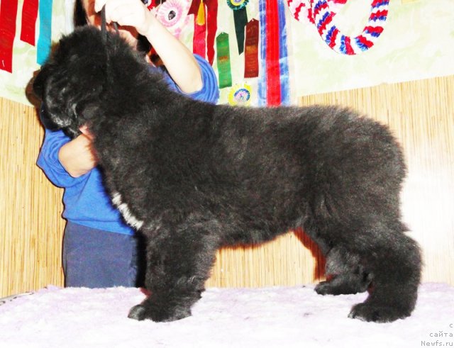 Фото: Бегущая по волнам ЗУРБАГАН