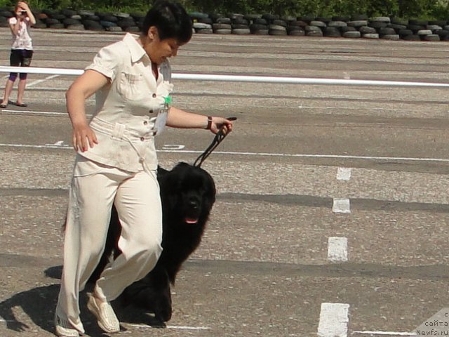 Фотография № 68324