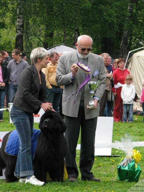 Фотография № 68325