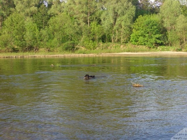 Фотография № 68340