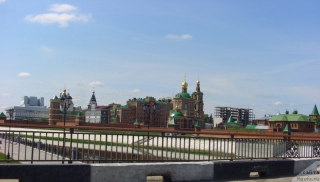 Фотография № 68345