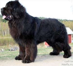 Фотография № 6835