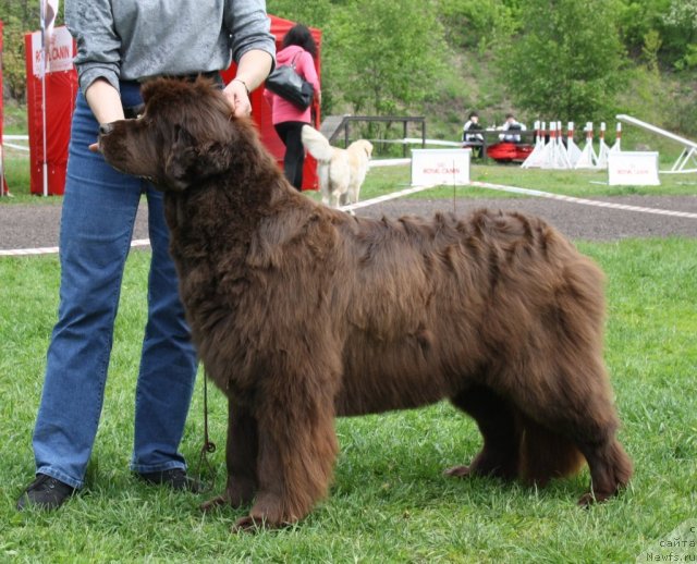 Фотография № 68357