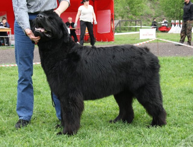 Фотография № 68367