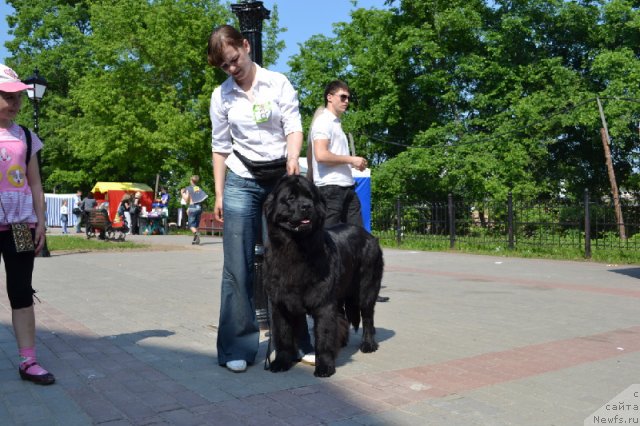 Фотография № 68378