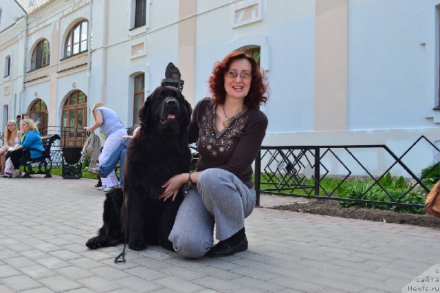 Фото: ньюфаундленд Potap Yarika (Потап Ярика)