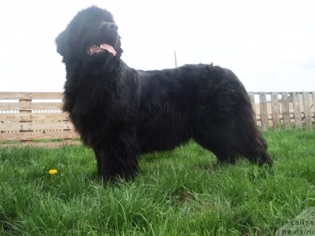 Фотография № 68386