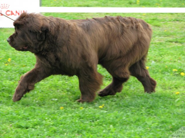 Фотография № 68406