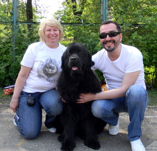 Фото: Irina Grigor'eva (Ирина Григорьева), ньюфаундленд Sent Djons Tender Kiss of Elly (Сент Джонс Тендер Кисс оф Элли), преподаватель хендлинга Виталий Бельский