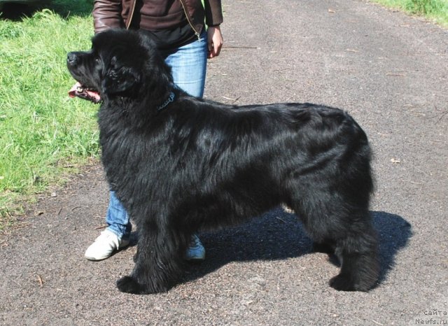 Фотография № 68413