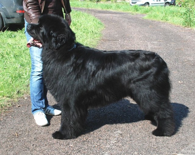 Фотография № 68414