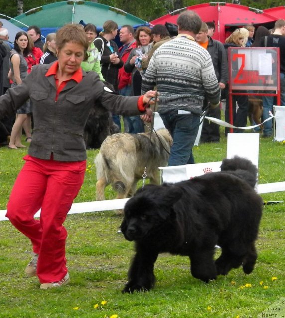 Фотография № 68421