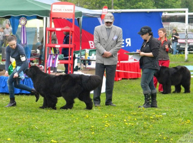 Фотография № 68425