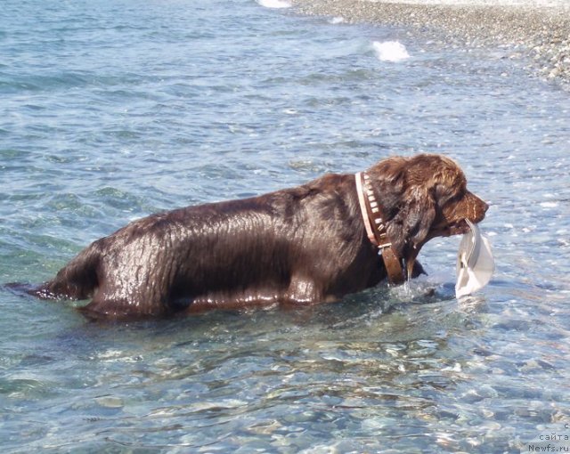 Фотография № 68499