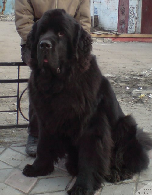 Фотография № 68505