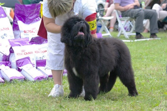 Фотография № 68519