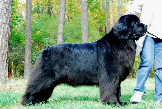 Фотография № 6854